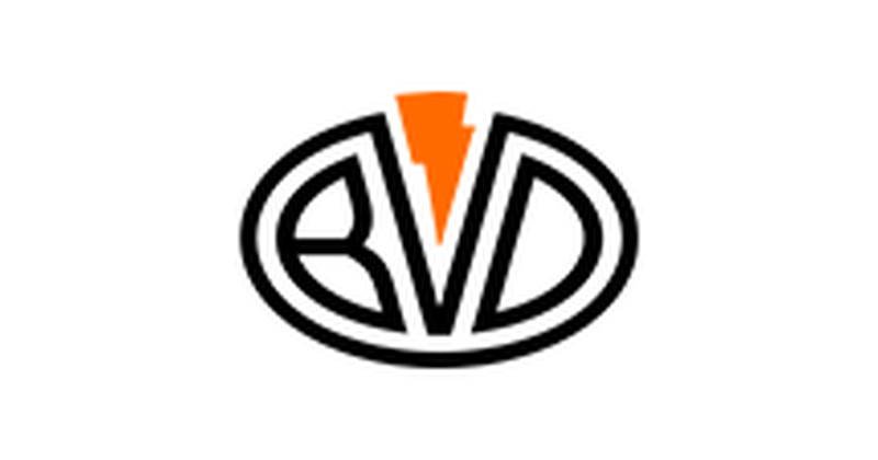 bvdshop.ru